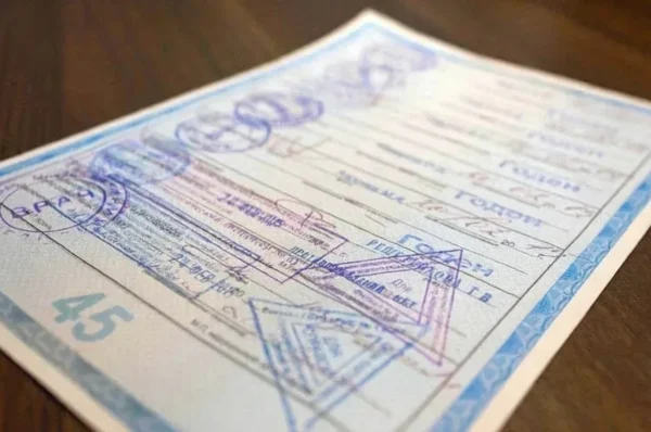 Минздрав планирует перевести медицинские справки для ГИБДД в электронный формат